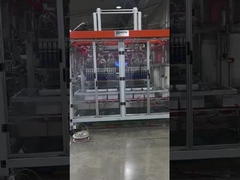 6 Köpfe Automatische Kartonpackmaschine, 25 Kartons/Min