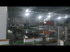 Maschine zum Versiegeln von Kartons, Maschine zum Palettieren von Robotern