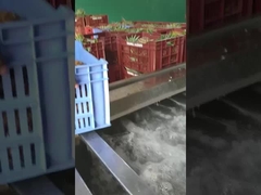 Obst- und Gemüsewaschmaschine mit Blasenform, Produktionskapazität anpassbar